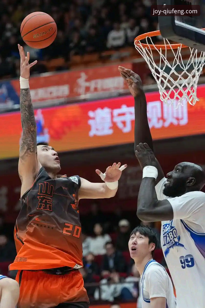 资深用户分享：从浙江绝杀宁波的CBA季后赛，看球盟会顶级平台如何提升观赛体验